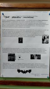 Увеличение кучности стрельбы